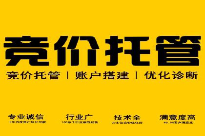 百度竞价广告投放的实战经验与案例分析